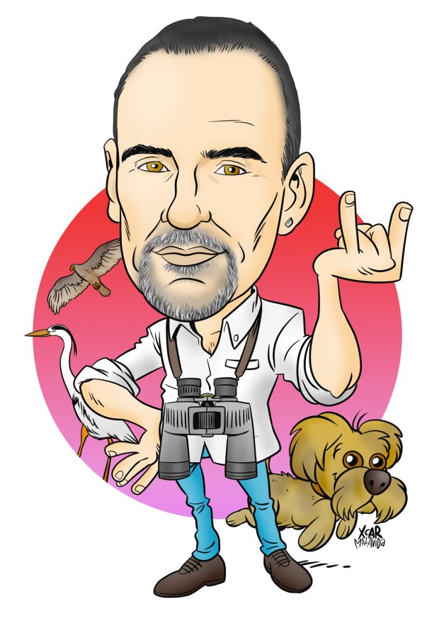 perilla_redessociales